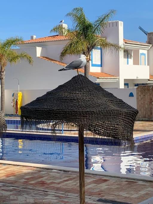 Apartamento Casa Ida, Branca